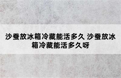 沙蚕放冰箱冷藏能活多久 沙蚕放冰箱冷藏能活多久呀